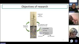 ILSWs2e02 Pea resilience to drought [upl. by Sasnett149]