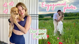 our new puppy  engagement photos  VLOG [upl. by Ettena]