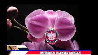 Mahasiswa KIP UNLESA Menyambut Kedatangan Presiden IrHJoko Widodo di Kabupaten Kepulauan Tanimbar [upl. by Docilu]