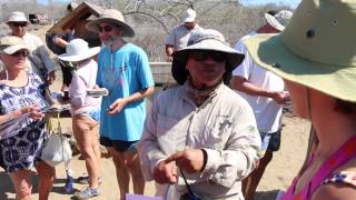 Galapagos Videos Post Office Bay [upl. by Pressman5]