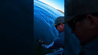 Lingcod Fishing in Washington 🎣 [upl. by Ilak]