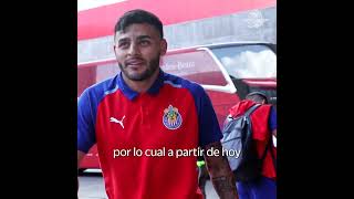 Por indisciplina Chivas separa del plantel a Alexis Vega Cristian Calderon y Raúl Martínez Shorts [upl. by Jayme]