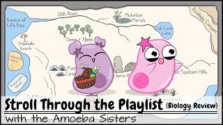 Stroll Through the Playlist a Biology Review [upl. by Sands]