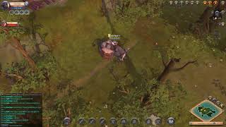 Albion Online  Island  Fishing [upl. by Stulin443]