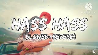 Hass Hass  SlowedReverb  Diljit x Sia marna mai teriya bah vich chan ve Lofi song musichub20 [upl. by Gretna]