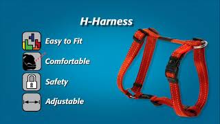 How to Fit a ROGZ Harness [upl. by Halsy]