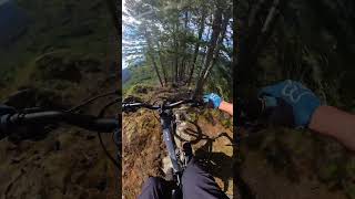 Freeride Lines  Fairservice Fun🗻 mtb steeps shred freeride [upl. by Adranoel160]