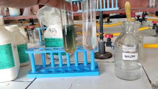 Analysis of Group 3 cation  Aluminum  Salt Analysis  Class 12 amp 11 Chemistry Practical NCERT [upl. by Serafina]