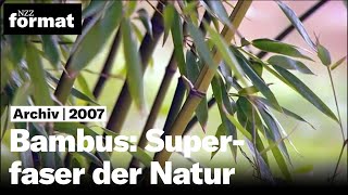 Bambus Superfaser der Natur  Dokumentation von NZZ Format 2007 [upl. by Derfiniw939]