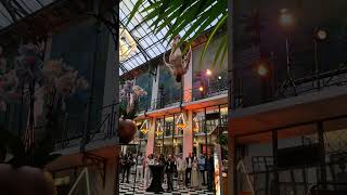 Mesmerizing Aerial Act at the Wintergarden Krasnapolsky Hotel Amsterdam [upl. by Olva]