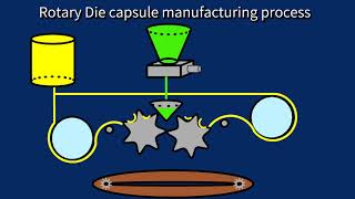 Soft Gelatin Capsule animation [upl. by Salokkin]