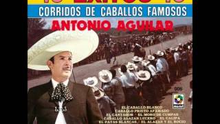 Antonio Aguilar Caballo Prieto Azabachewmv [upl. by Enowtna]