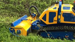 Farol Ltd  Bomford Flailbot Remote Control Flail Mower Demonstration [upl. by Rimhsak]