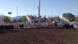 Rebel Mule Cutting at Bishop Mule Days 2013 [upl. by Aruon]