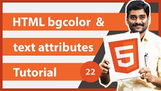 HTML bgcolor amp text Attribute  HTML Tutorial 22 🚀 [upl. by Gilead]