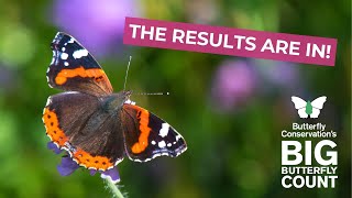 The Big Butterfly Count 2023 results are in [upl. by Maxama]