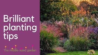 The very BEST time to plant perennials  top tips on filling a gap in your border [upl. by Ardnuhsed]