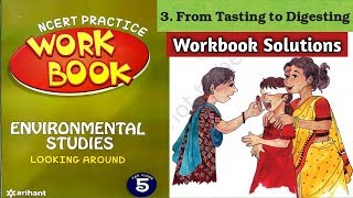 From Tasting To Digesting Workbook Solutions  Class5 EVS Ch3  NCERT Workbook Arihant Publication [upl. by Enigroeg]