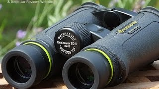 Best 10x42 Binoculars ▬ Ultimate Guide and Reviews [upl. by Lyrehc738]