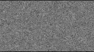 TV Static Effect  TV no Signal Video White Noise Sound Full  HD [upl. by Heurlin881]