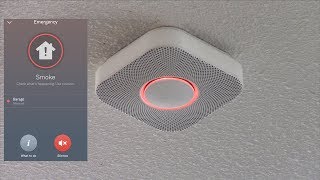 Testing the Nest Protect Smoke Alarm with Fire [upl. by Nylsirhc]