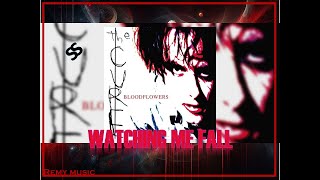 Watching Me Fall Álbum full Bloodflowers HD 02 febrero 2000 THE CURE Music in Successo Asocia2 [upl. by Gairc]