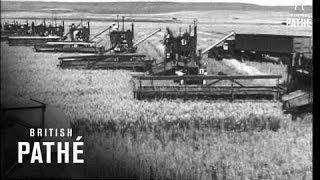 Wheat Harvest USA 1947 [upl. by Bradman]