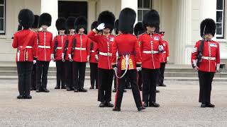 Nijmegen Company Grenadier Guards [upl. by Roley]