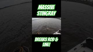 fishingvideo fish stingray fail shorts fishing shark florida fisherman ocean sea seafood [upl. by Kcod]