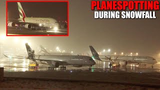 PLANESPOTTING DURING SNOWFALL AT DÜSSELDORF AIRPORT  Takeoffs amp landings  Deicing operations [upl. by Yraunaj473]