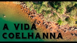 A VIDA COELHANNA [upl. by Maryellen]