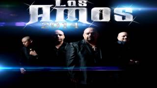 Los Amos De Nuevo Leon Solo 2014 [upl. by Meuser801]