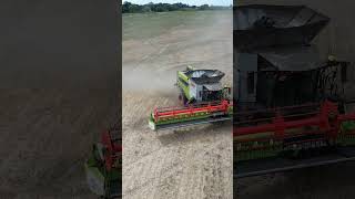 Claas Combine Lexion Harvesting Oil Seed Rape in Norfolk farming dronevideo drone droneshot [upl. by Narual]