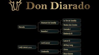 Don Diarado MET 2017 [upl. by Forkey]