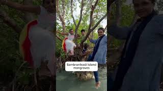 sambranikodi island mangrove kollam kerala 🇮🇳 [upl. by Refiffej]