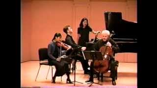 Schubert Piano Trio no 2 in E flat major op 100 D 929 [upl. by Elac325]