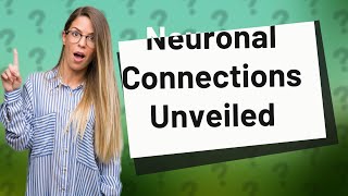 How Do Neurons Connect in a Petri Dish A Simple Explainer [upl. by Mundt]