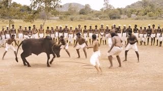 Ferocious Jallikattu Scene from Ilami showing the Intensity of Tradition  2016 Kollywood Movie [upl. by Dicks337]