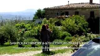 Wine Tour In Tuscany [upl. by Belicia666]