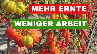 POWERPAKET FÜR MEHR ERNTE [upl. by Anglim]