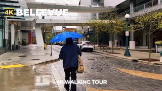 4k BELLEVUE City Walk  Walking in the rain  This is Bellevue [upl. by Gazzo]