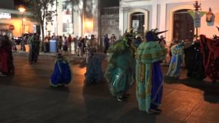 Carnaval de Ponce 2014 el mejor bailador [upl. by Annawit]