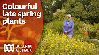 Grow these plants to bring colour to your late spring garden  Gardening 101  Gardening Australia [upl. by Harima]