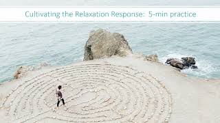 5 min Guided Relaxation Practice [upl. by Adnahsor]