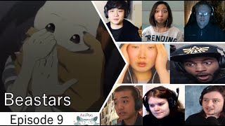 The Moon and the Beast  Beastars Ep 1 Reaction [upl. by Yahsed]