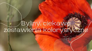 Byliny ciekawe połączenia kolorystyczne [upl. by Nemra]