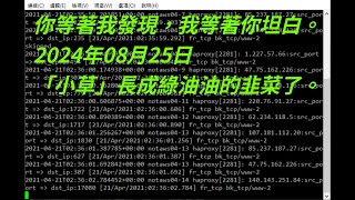 20240825 Botnet Detection Live Streaming 100 zombies detected [upl. by Evangelist]