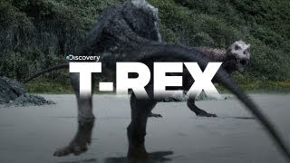 Exclusive Video of Tyrannosaurus Rex the KILLER [upl. by Annaigroeg]