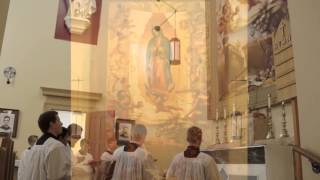 Salve Regina Solemn Tone FSSP [upl. by Ecinnej]