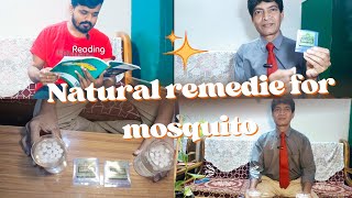 quotBeat Mosquitoes Naturally Camphor amp Water [upl. by Tniassuot208]